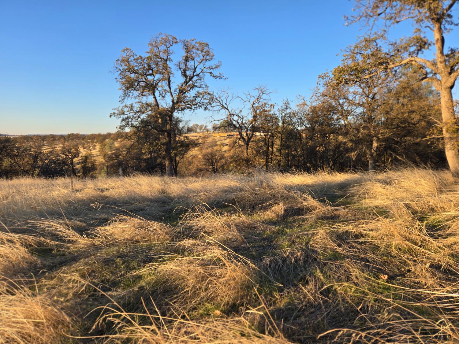0 Avacado Road Oroville, CA 95914 - Photo 4 of 14 a view of lake with green space