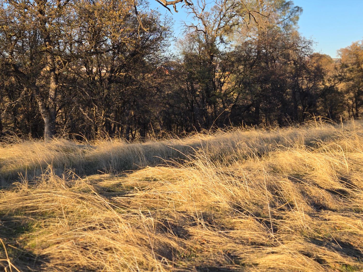 0 Avacado Road Oroville, CA 95914 - Photo 7 of 14 a view of ocean view