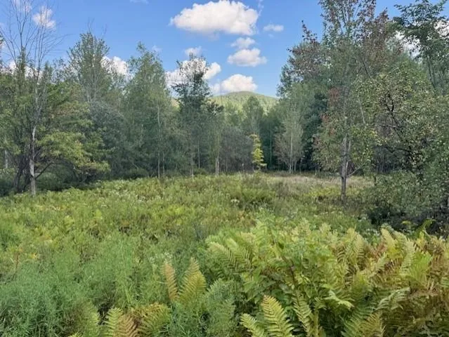 $80,000 | 0 West Hill Road, Enosburg Falls, VT 05450