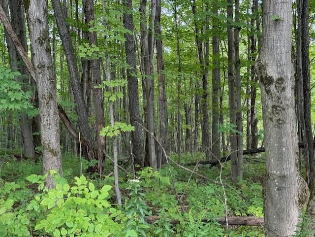 0 West Hill Road Enosburg Falls, VT 05450 - Photo 2 of 7