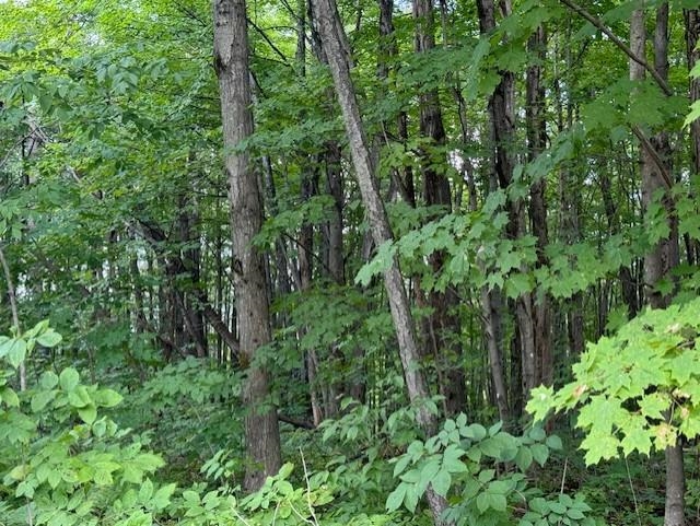 0 West Hill Road Enosburg Falls, VT 05450 - Photo 3 of 7