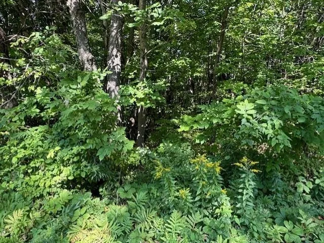 $80,000 | 0 West Hill Road, Enosburg Falls, VT 05450