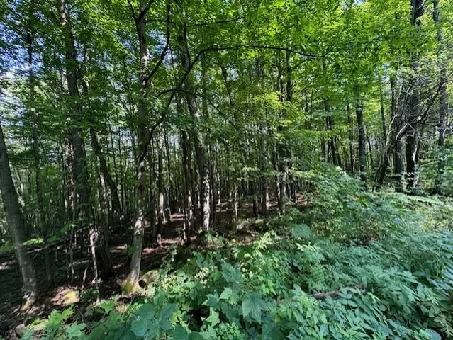 $80,000 | 0 West Hill Road, Enosburg Falls, VT 05450