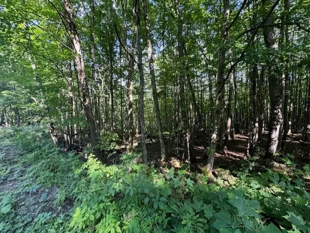 $80,000 | 0 West Hill Road, Enosburg Falls, VT 05450