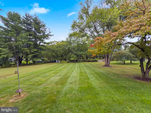 a view of yard with green space