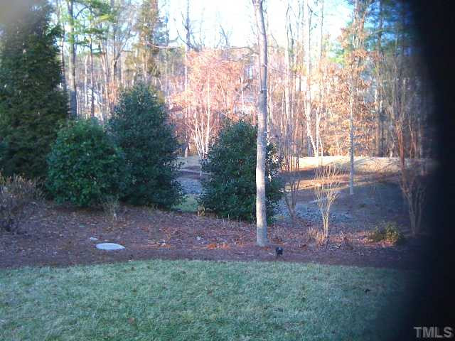 8620 Royton Circle Raleigh, NC 27613 - Photo 16 of 25 Irrigation system for low maintance. Overlooks common area Back Yard