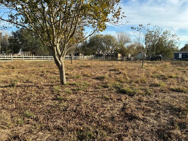 a view of yard with trees