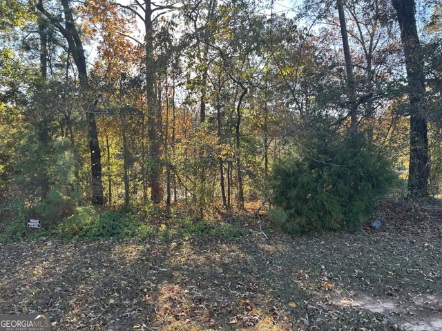 a view of outdoor space and trees
