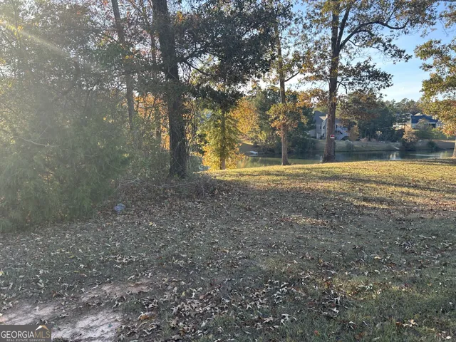 a view of a yard with a trees