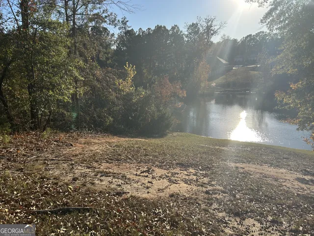 a view of a yard of a house