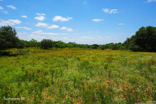 a view of an ocean and beach