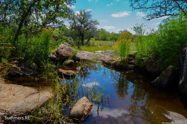 a view of a lake from a yard