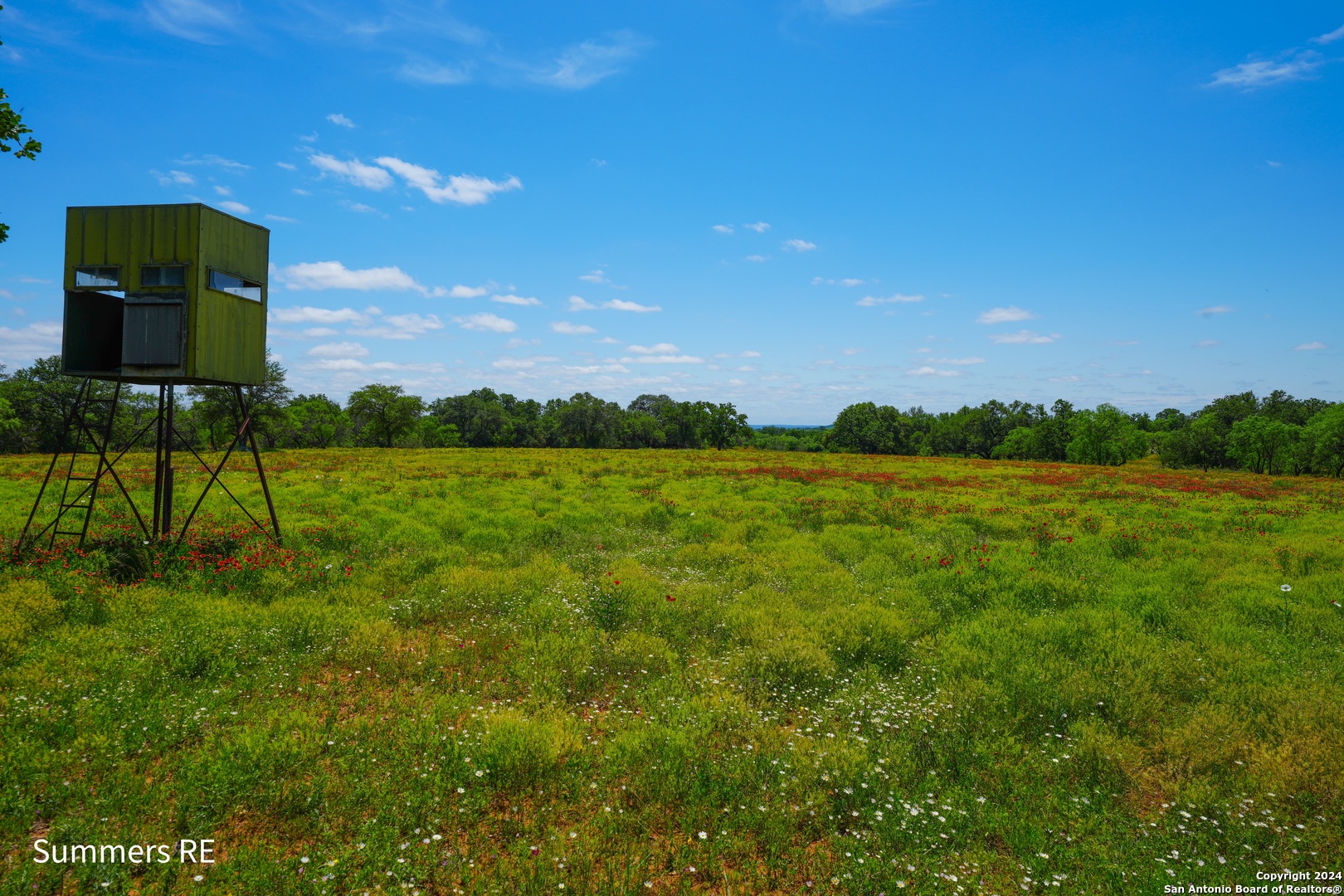 5077 Old Pontotoc Road Mason, TX 76856 - Photo 14 of 41 a view of a garden