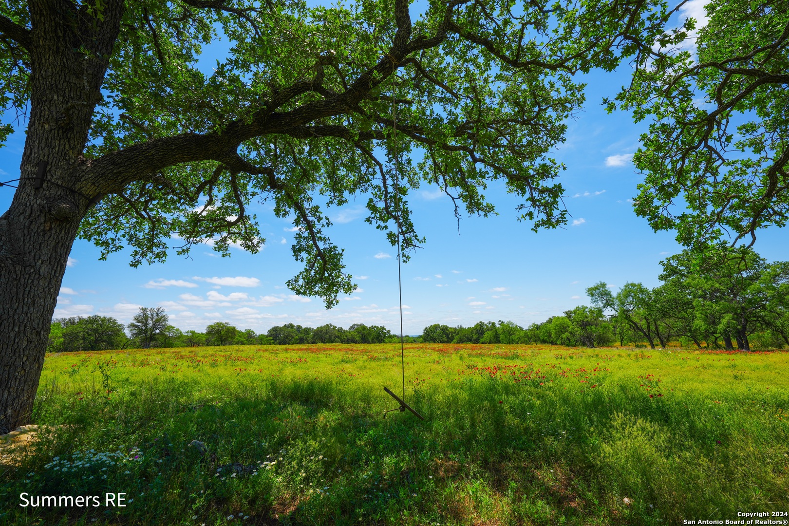 5077 Old Pontotoc Road Mason, TX 76856 - Photo 15 of 41 a view of a garden