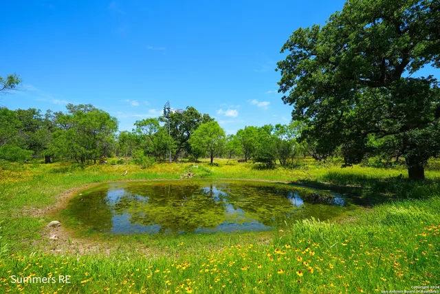 a yard with swimming pool and green space