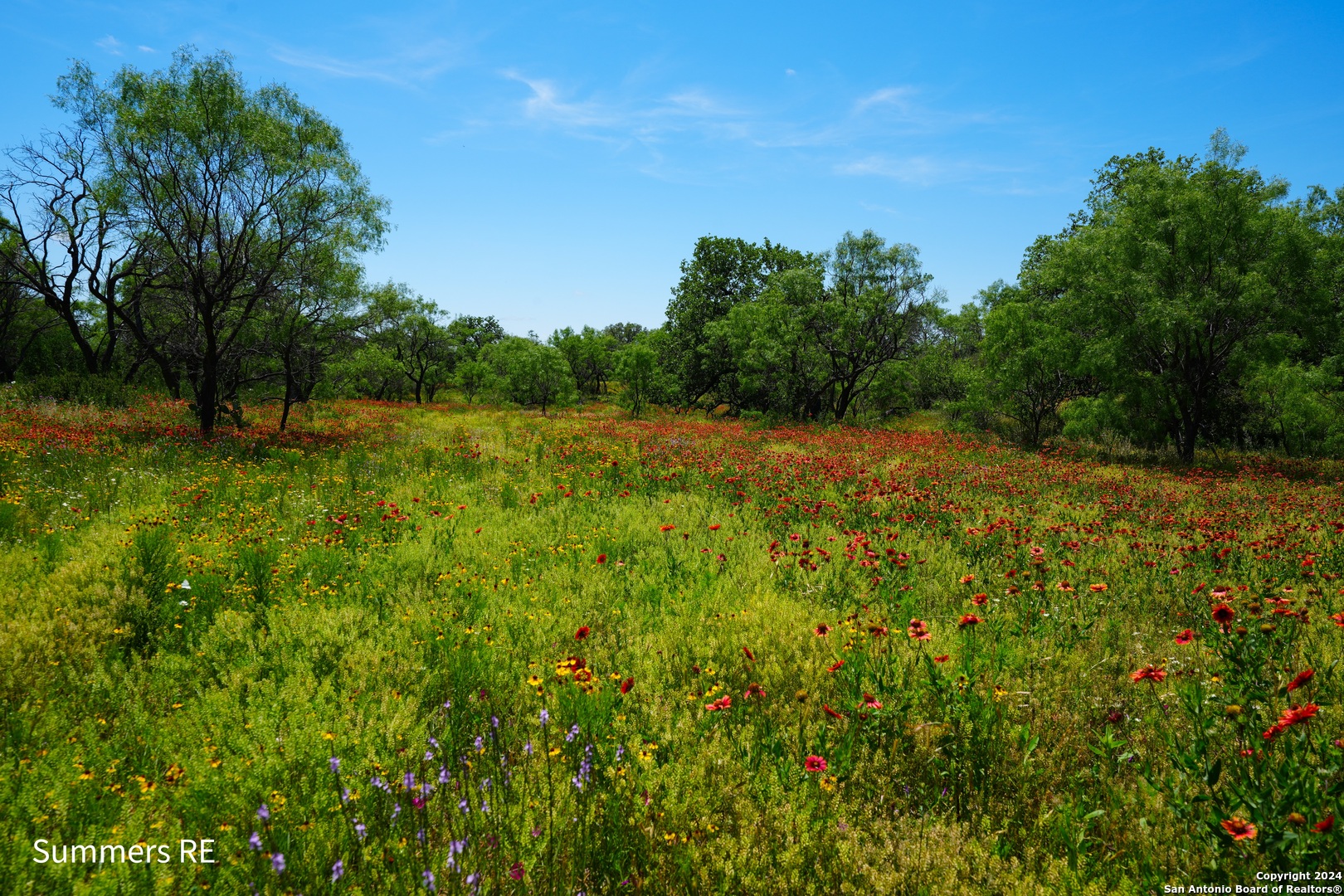 5077 Old Pontotoc Road Mason, TX 76856 - Photo 20 of 41 a view of a yard with a tree