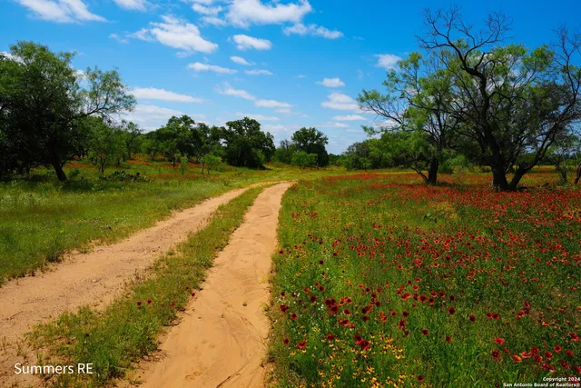 a view of a lake with a yard