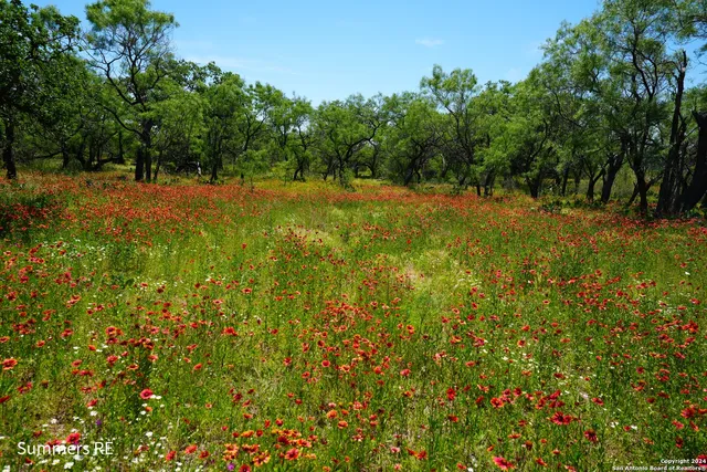 a view of a field with trees in the background