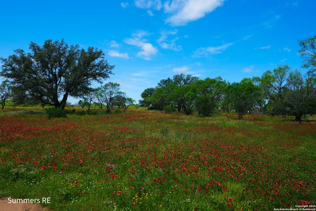 a view of yard with green space