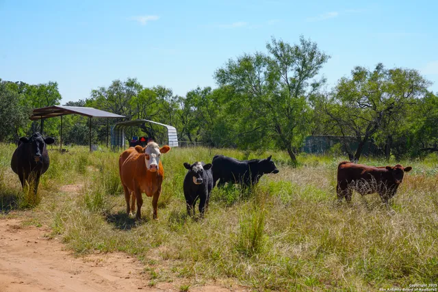 a view of a lake with houses in the back