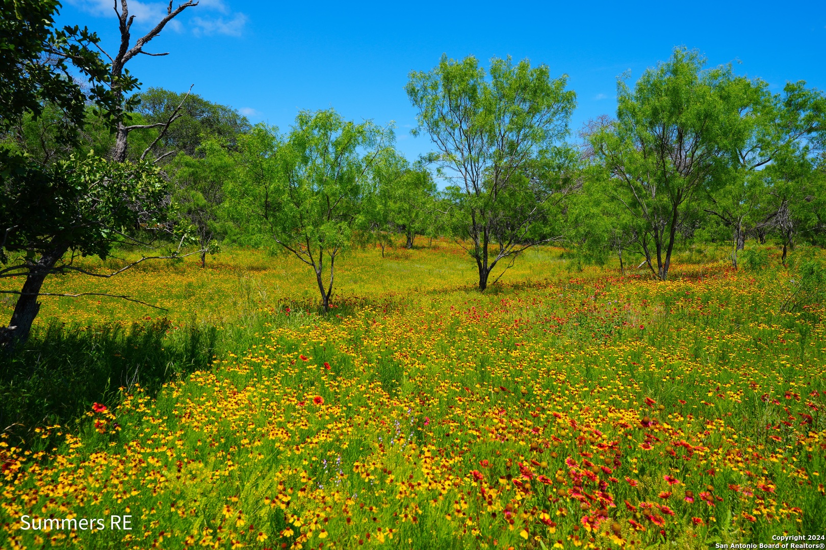 5077 Old Pontotoc Road Mason, TX 76856 - Photo 4 of 41 a view of yard with green space