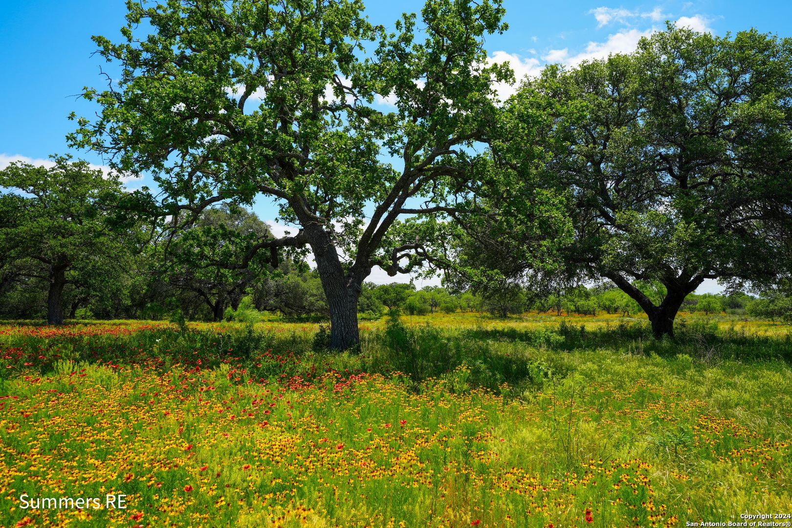 5077 Old Pontotoc Road Mason, TX 76856 - Photo 5 of 41 a view of backyard with green space