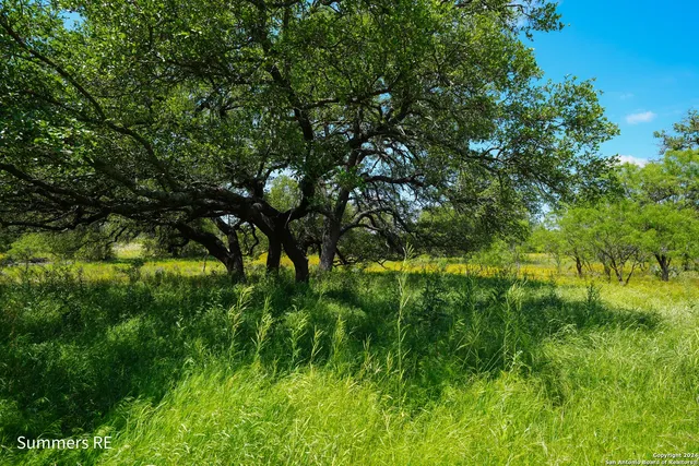 a view of a lush green space