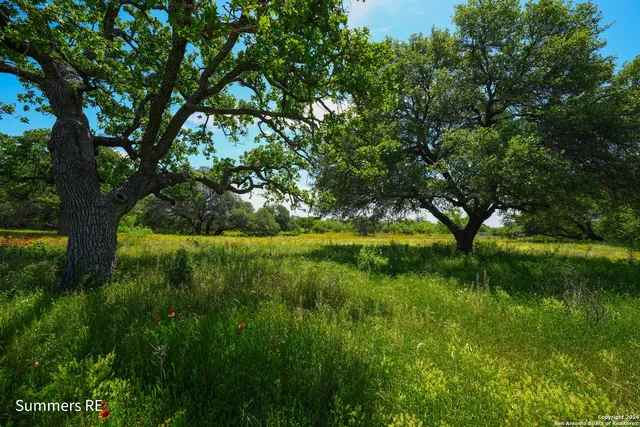a view of yard with green space