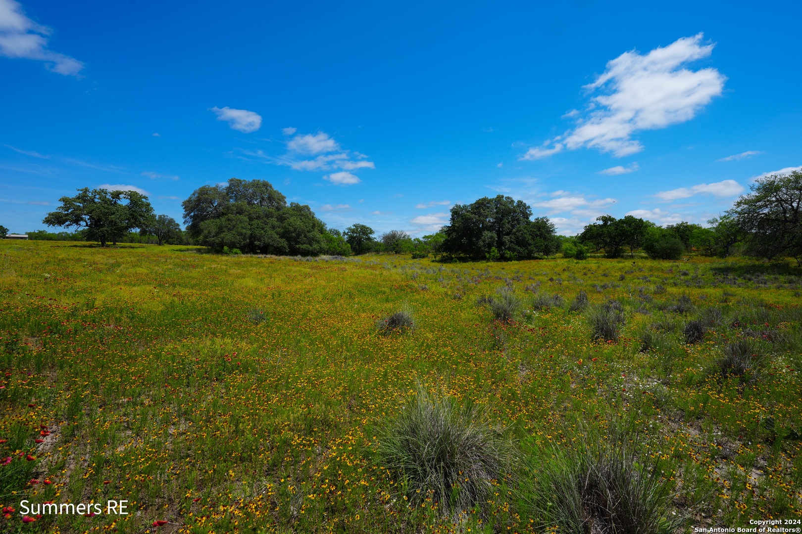 5077 Old Pontotoc Road Mason, TX 76856 - Photo 9 of 41 a view of a big yard with lots of green space