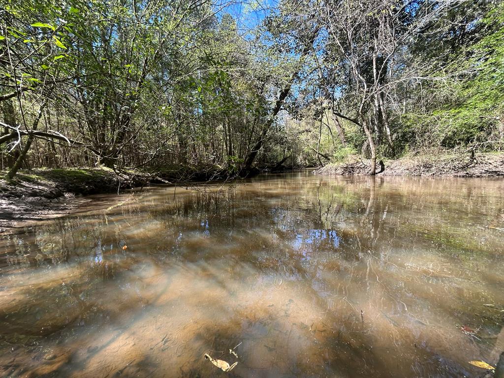 923 Lakeview Road Slocomb, AL 36375 - Photo 33 of 45