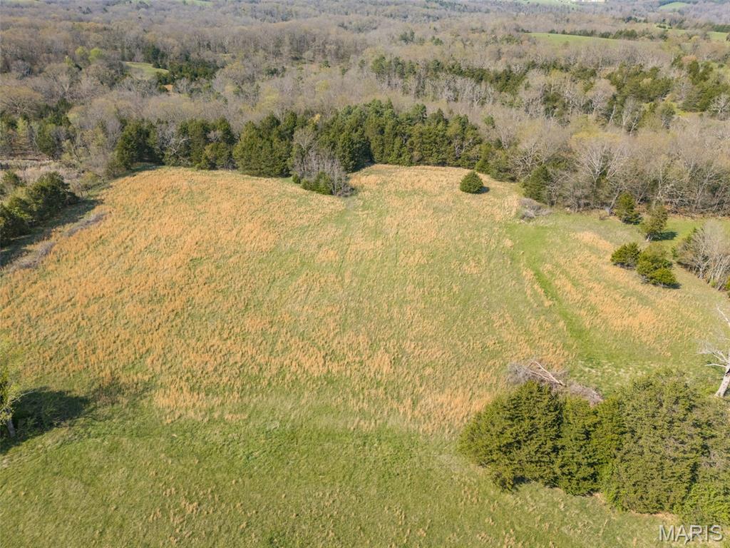 13423 Roth Road Bonne Terre, MO 63628 - Photo 43 of 54 Gallery Image 43