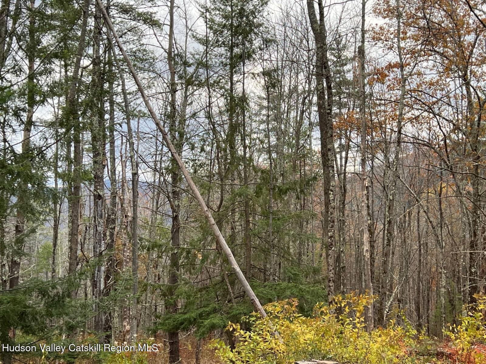 98 Norwegian Road Prattsville, NY 12468 - Photo 10 of 13 11401415-HkJ4nFfn6lSZtKjv