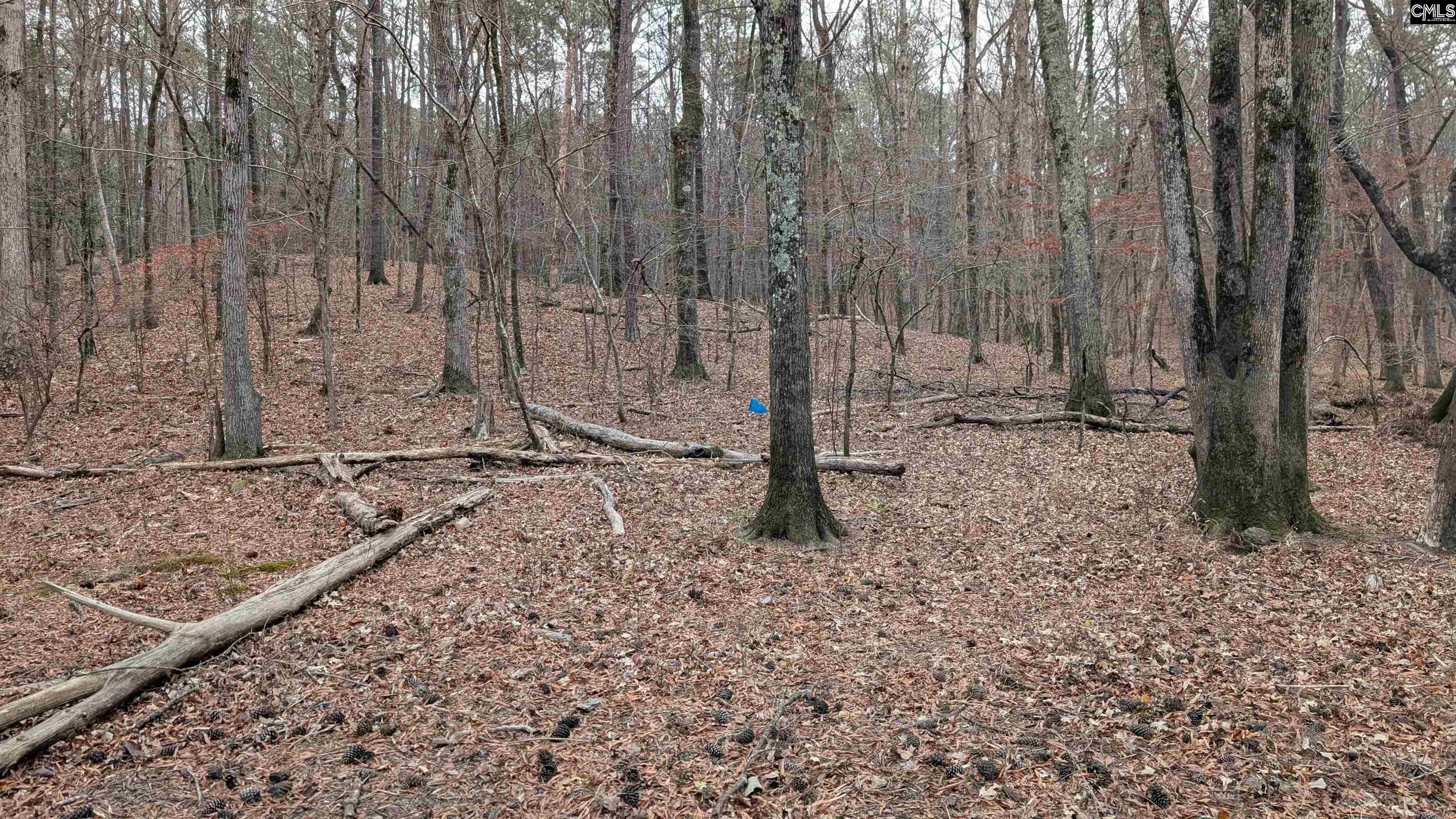 Lots B & C Lots B & C Miller Road Camden, SC 29020 - Photo 28 of 36