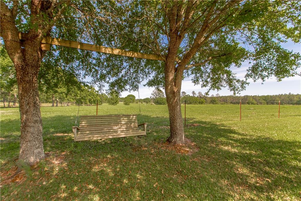64204 Friendship Church Road Amite, LA 70422 - Photo 8 of 34 Gallery Image 8