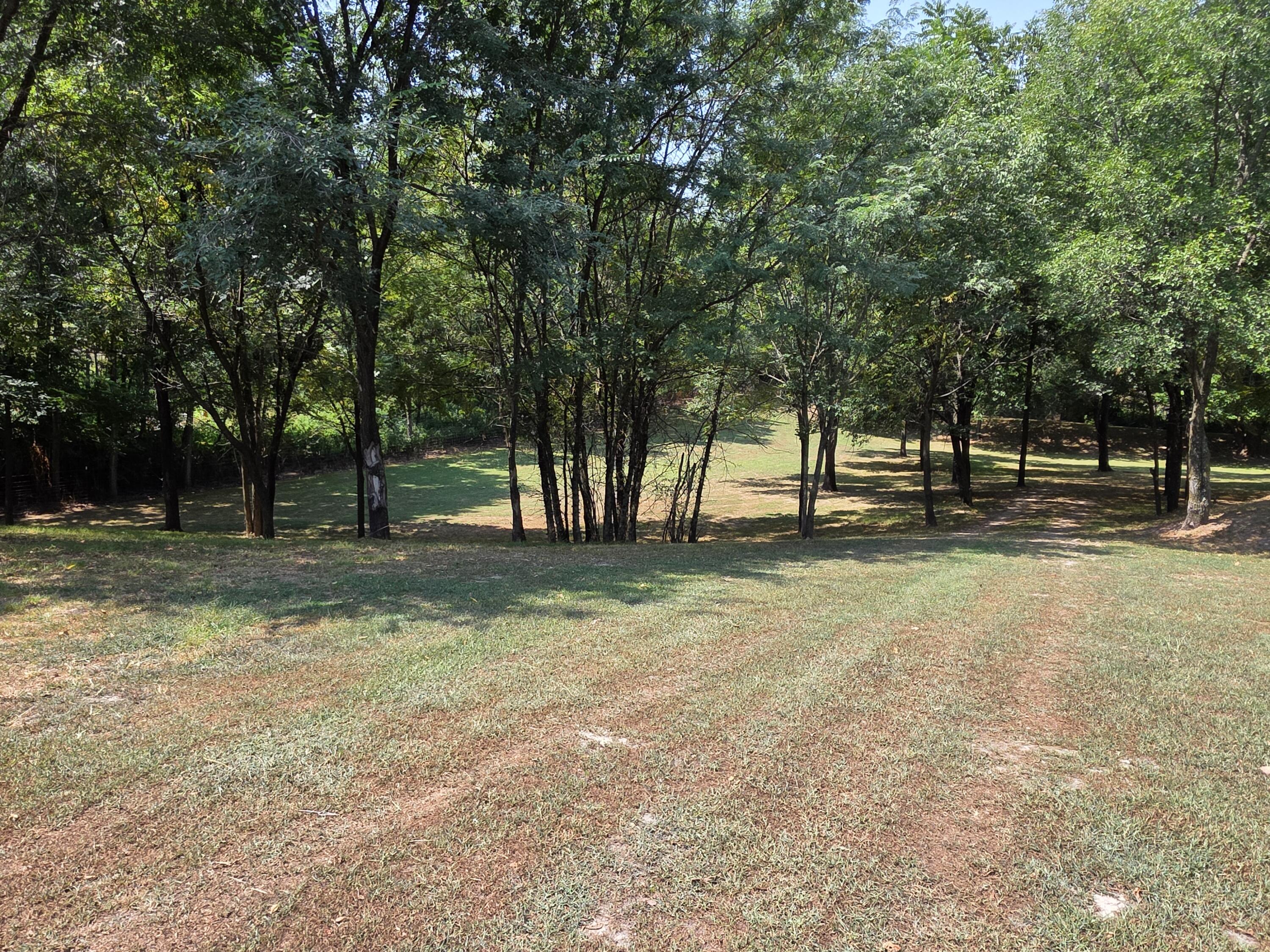 17664 Locust Road Neosho, MO 64850 - Photo 51 of 57 25046