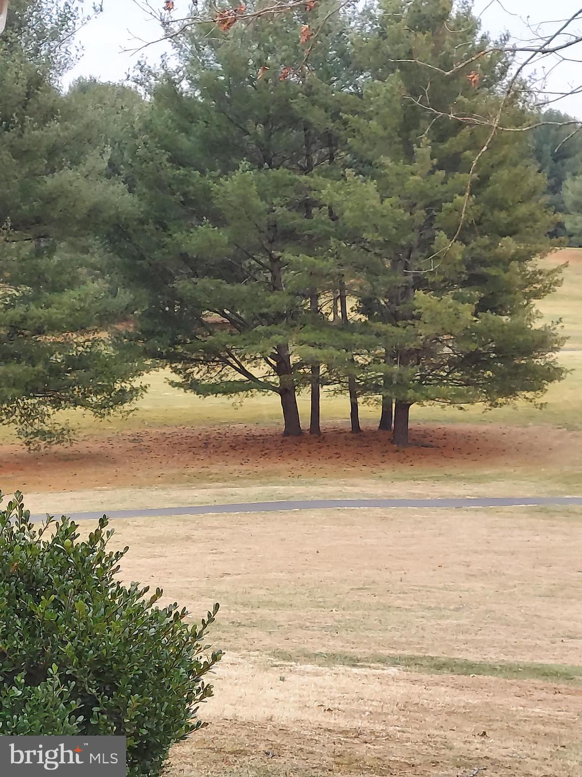 388 Bowling Green Road Front Royal, VA 22630 - Photo 76 of 88