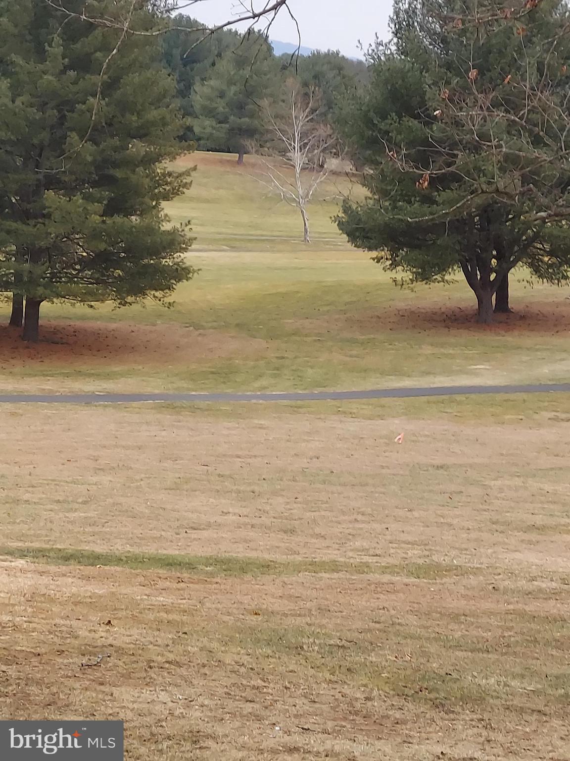 388 Bowling Green Road Front Royal, VA 22630 - Photo 77 of 88