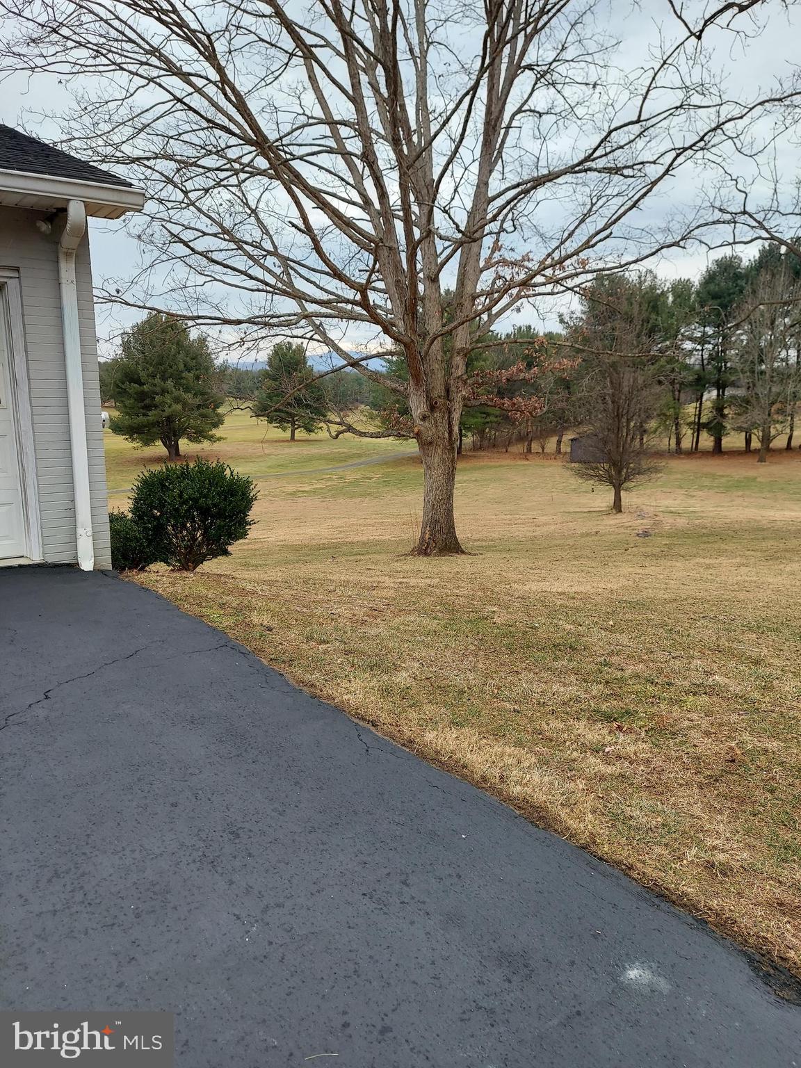 388 Bowling Green Road Front Royal, VA 22630 - Photo 79 of 88