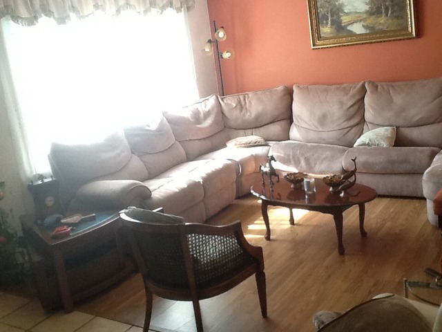 2132 Rugen Road, Unit C Glenview, IL 60026 - Photo 2 of 8 a living room with furniture and a potted plant