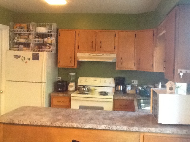 2132 Rugen Road, Unit C Glenview, IL 60026 - Photo 4 of 8 a kitchen with granite countertop a refrigerator a stove and a sink