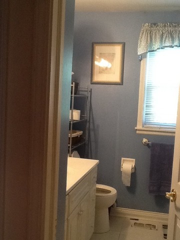 2132 Rugen Road, Unit C Glenview, IL 60026 - Photo 8 of 8 a bathroom with a toilet a sink and a window