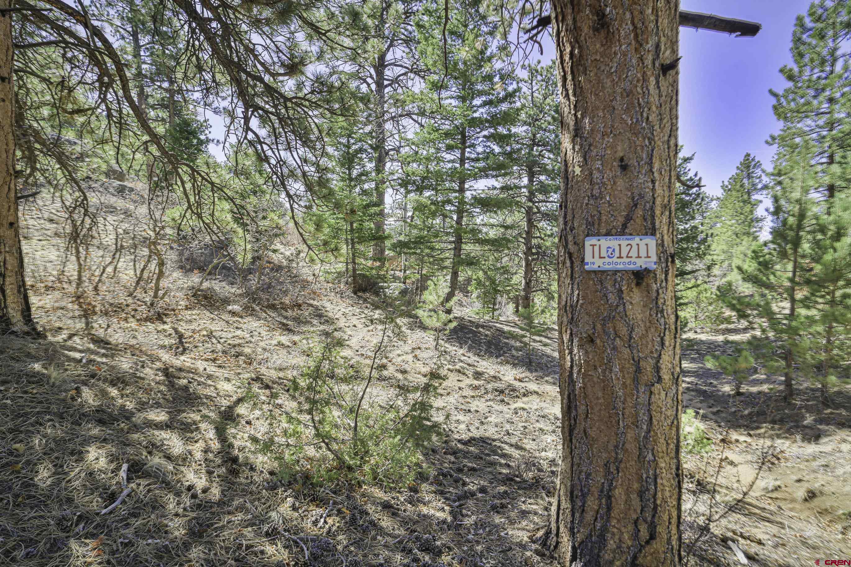 640 Ridgeway Drive Cotopaxi, CO 81223 - Photo 29 of 45