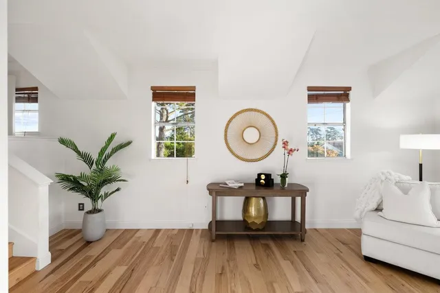 a living room with furniture and a potted plant