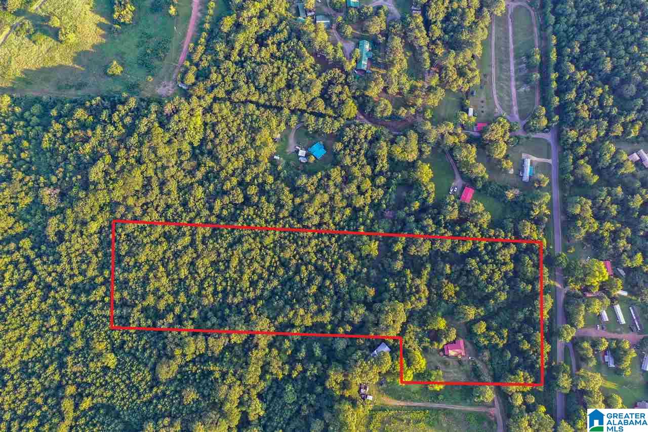 139 Pate Road Cordova, AL 35550 - Photo 6 of 6