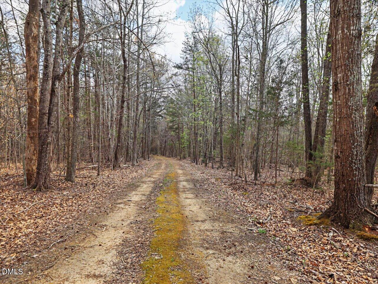 7793 Ridgeville Road Leasburg, NC 27291 - Photo 35 of 91