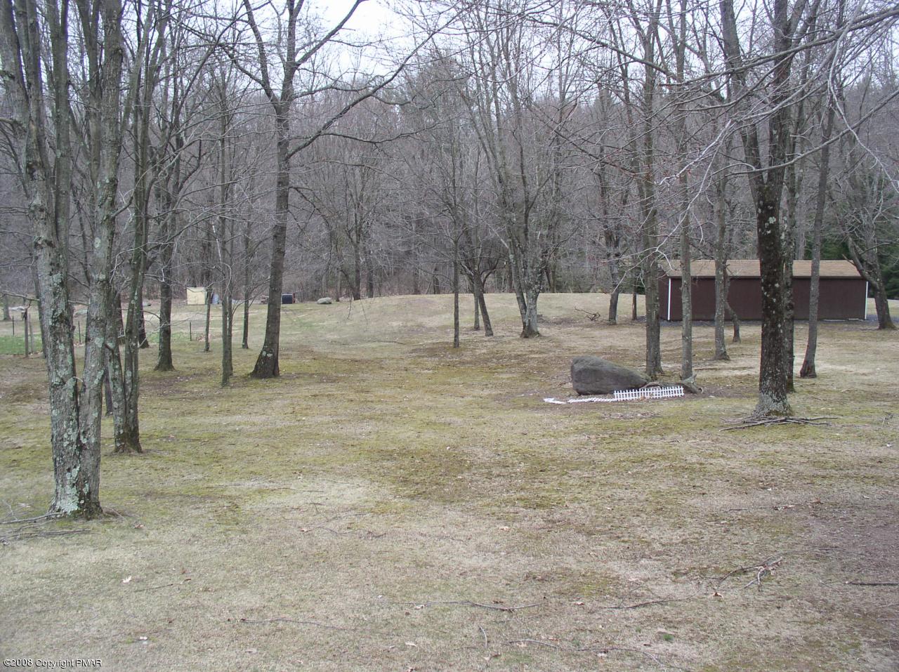 BACKYARD VIEW
