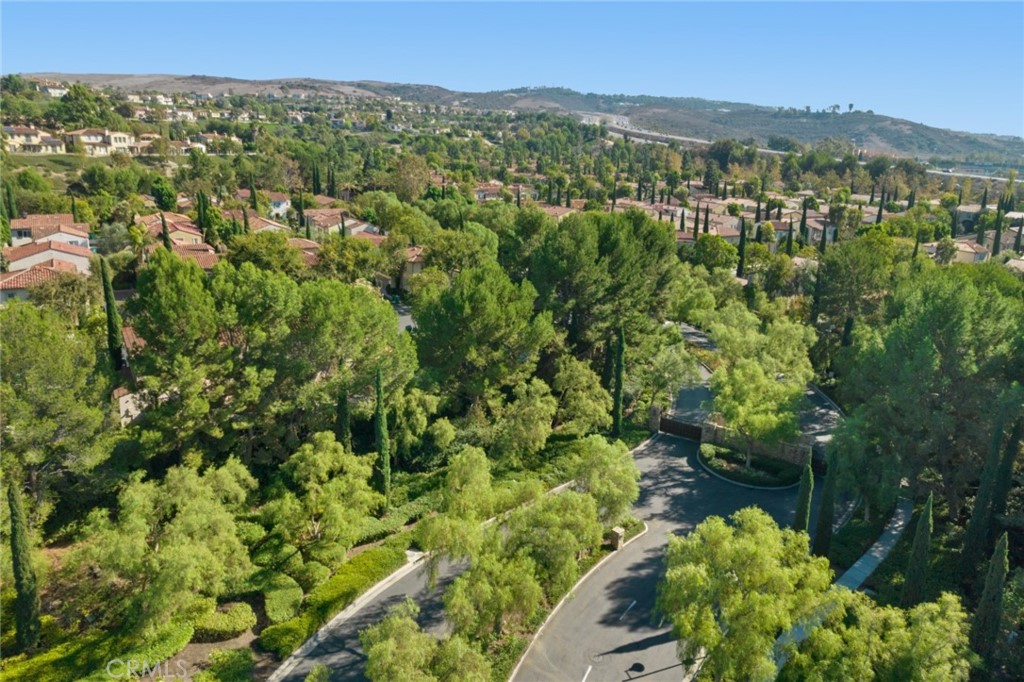 119 White Flower Irvine, CA 92603 - Photo 34 of 38 a view of a city with lush green forest