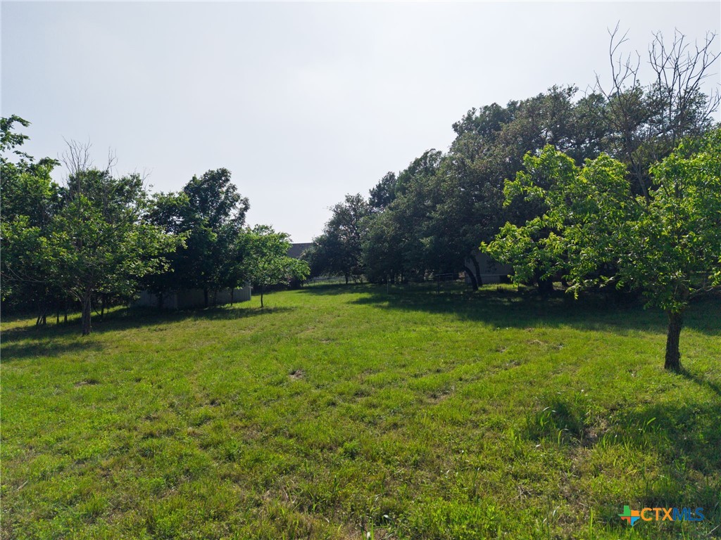 2739 Willow Loop Kempner, TX 76539 - Photo 3 of 30 a view of a green yard