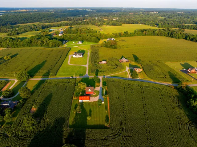 a kitchen with stainless steel appliances granite countertop a refrigerator a sink dishwasher a stove and white cabinets with wooden floor