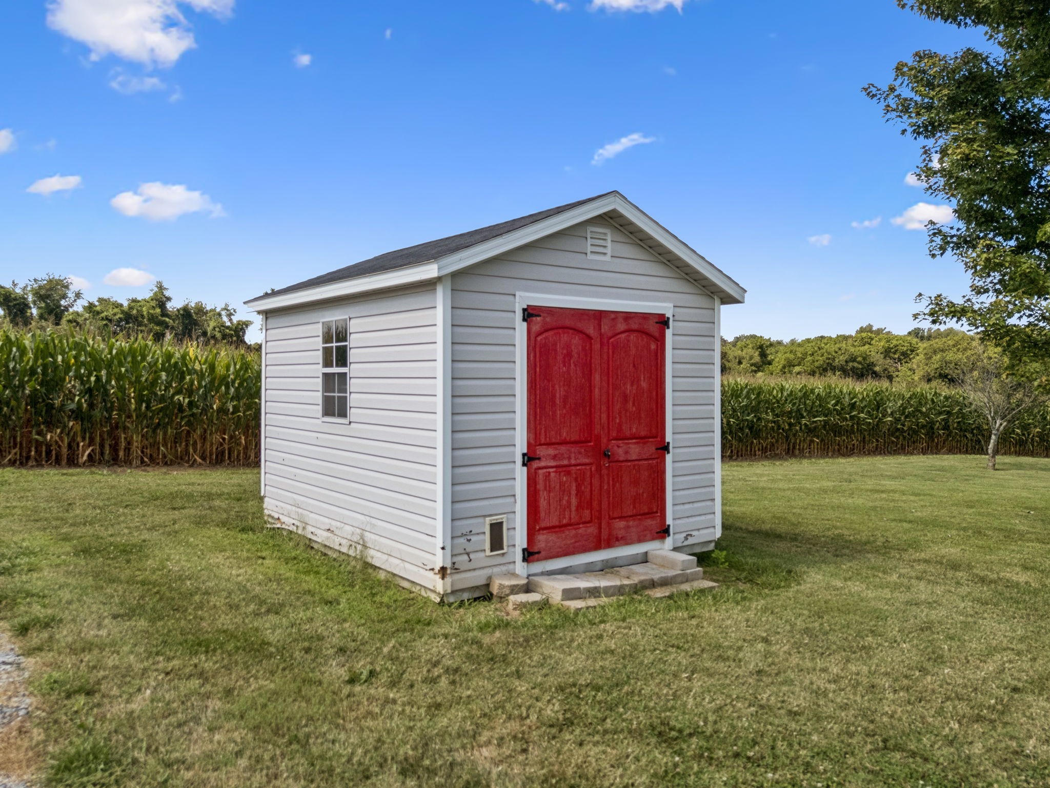 572 Buntin Mill Road Cottontown, TN 37048 - Photo 66 of 67 a view of a house with a backyard